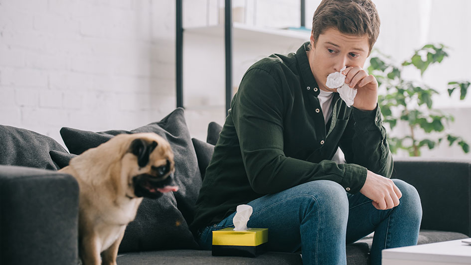 Purchasing an air purifier is one of the best ways to boost your residence’s indoor air quality. Find out more about the three smartest products. 